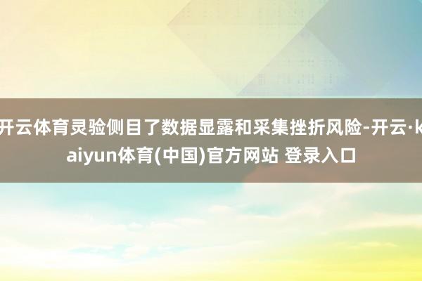 开云体育灵验侧目了数据显露和采集挫折风险-开云·kaiyun体育(中国)官方网站 登录入口
