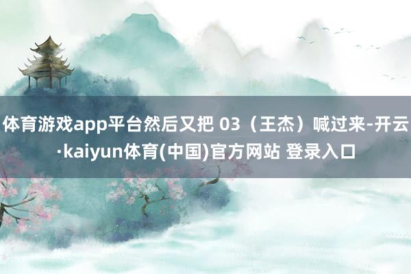 体育游戏app平台然后又把 03(王杰)喊过来-开云·kaiyun体育(中国)官方网站 登录入口