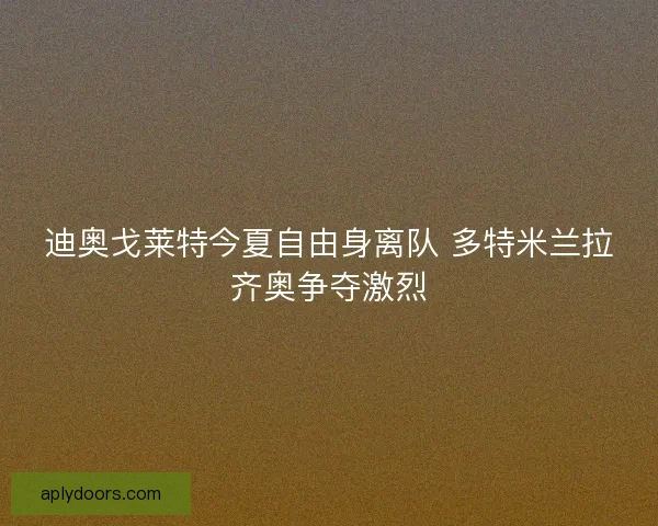 迪奥戈莱特今夏自由身离队 多特米兰拉齐奥争夺激烈